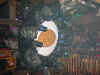 mo03.jpg (102717 Byte)
